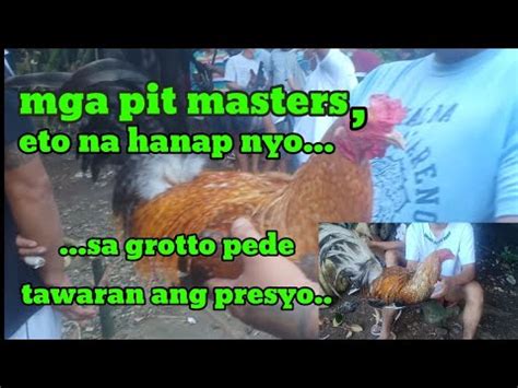 Grotto Prt 01 Mga Boss Manok Ba Hanap Nyo Murang Pet Dto Lng Yan Sa