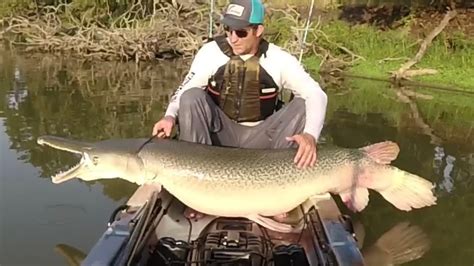 How To Catch Big Alligator Gar On A Lure YouTube