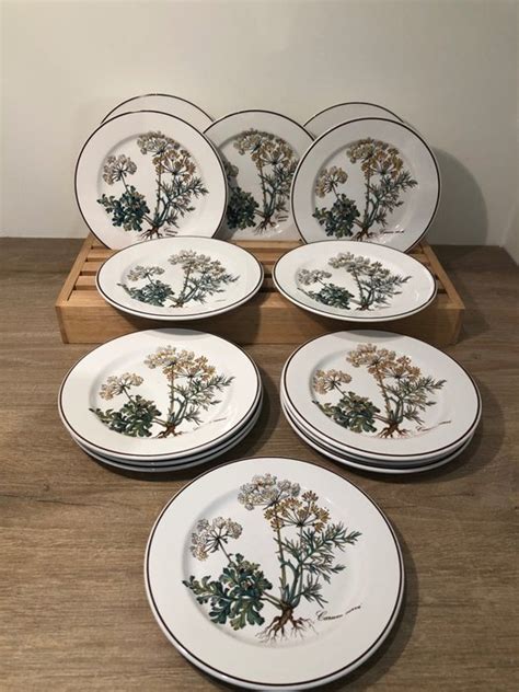 Villeroy Boch Teller 14 Vitro Porzellan Botanica Catawiki