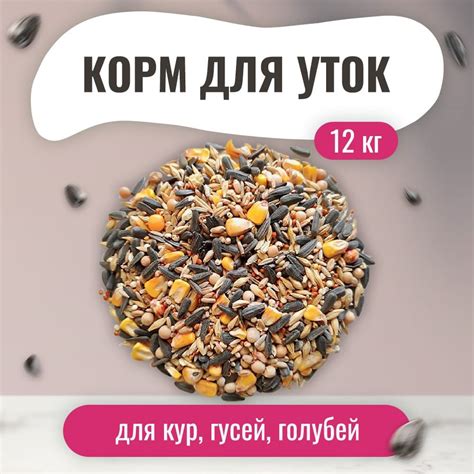 Корм для лесных парковых уличных лесных диких домашних уток 12 кг. Для ...