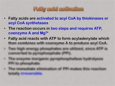 Solution Beta Oxidation Of Fatty Acids Studypool