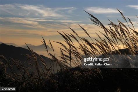 Mountain Breeze Photos and Premium High Res Pictures - Getty Images