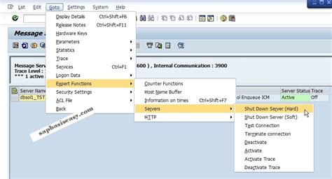 How To Monitor Sap Message Server Sap Basis Easy