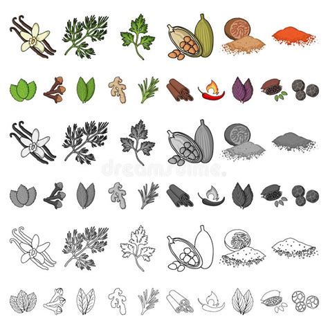 Herb And Spices Cartoon Icons In Set Collection For Design Different