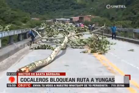 Informe Especial Cocaleros Bloquean Ruta A Yungas Y Provocan Conflictos