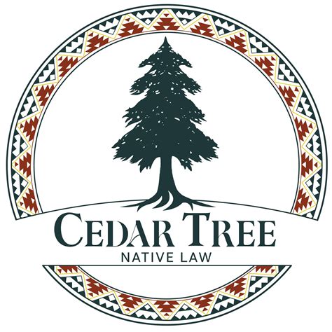 Native American Cedar Trees How To Grow And Care For The Deodar Cedar