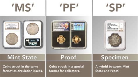 Ngc Coin Grading A Comprehensive Guide By Hattons Of London Hattons Of London