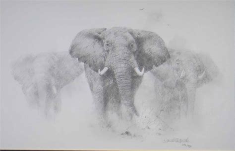 David Shepherd, elephant, pencil drawing, print