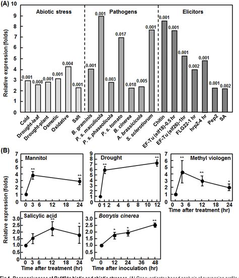 Figure From Arabidopsis Raf Like Mitogen Activated Protein Kinase