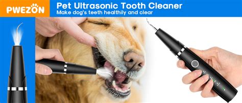 Amazon.com: Ultrasonic Dog Teeth Cleaning Kit for Pet Teeth Cleaning ...