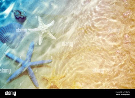 Starfish And Seashell On The Summer Beach In Sea Water Summer