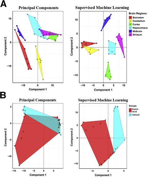 The Mouse Brain Metabolome The American Journal Of Pathology