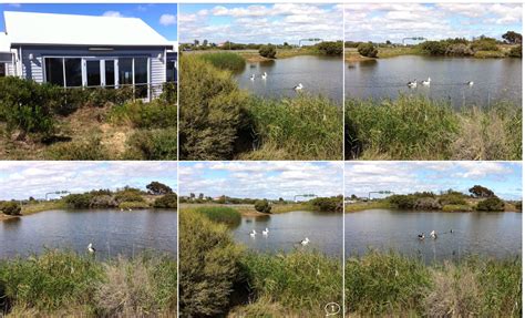 The Watershed At The Wetlands Salisbury South Australia They Have Good