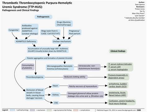 Adult Emergency Medicine Idiopathic Thrombocytopenic Purpura