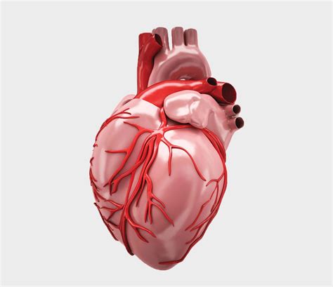understanding heart disease healthscope magazine
