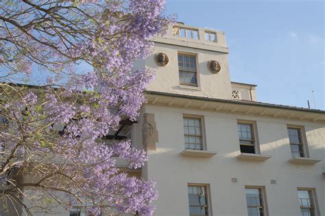 Jacaranda Physics Building Usyd Luke Neo Flickr