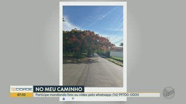 Bom Dia Cidade Ribeirão Preto No Meu Caminho paisagens naturais