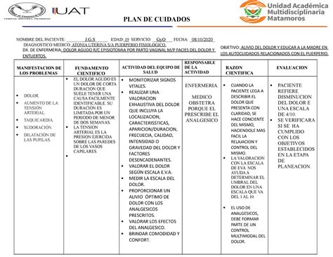 Formato Plan De Cuidados Puerperio Plan De Cuidados Nombre Del