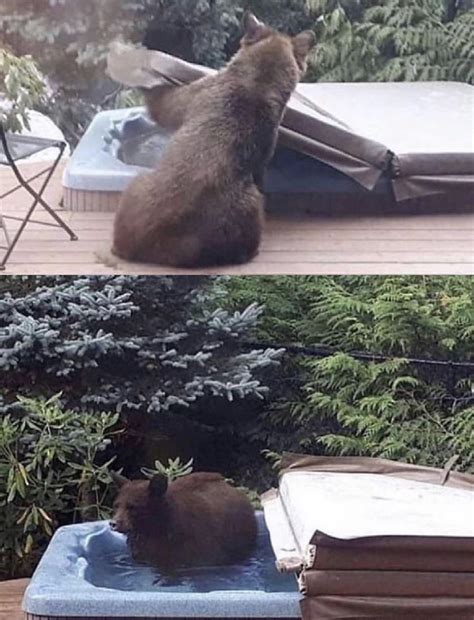 Best Hot Tub Fun Images On Pholder Ir Lgirls Paymoney Wubby And Cabin Porn