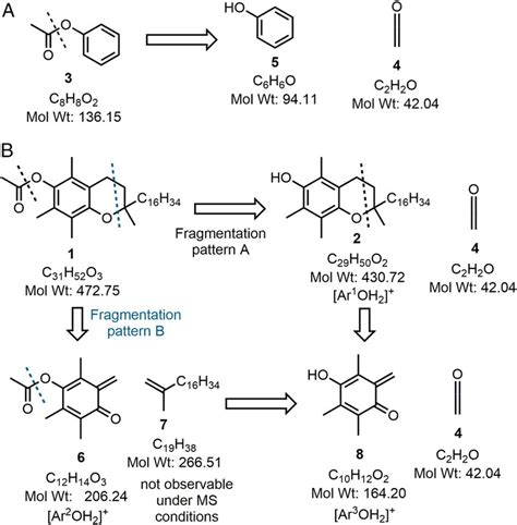 Apci Ms Fragmentation Patterns Of A Phenyl Acetate 3 And B Vitamin E