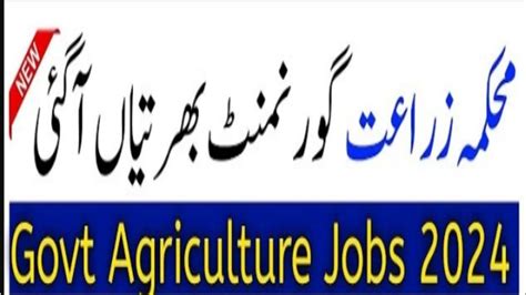 Agriculture Department Punjab Jobs 2024