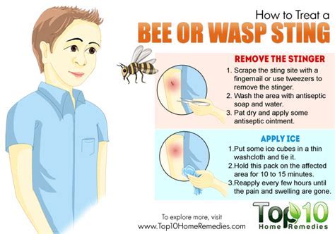how long does it take for wasp sting to heal