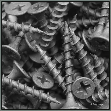 Perfect Match Screws Macro Mondays Theme Perfect Match Flickr