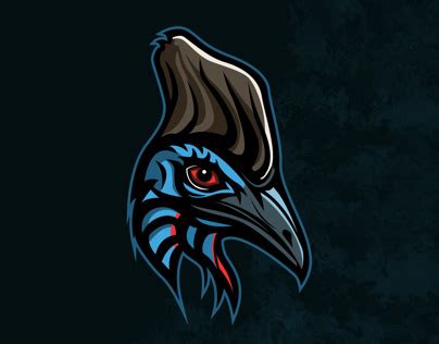 Cassowary Projects | Photos, videos, logos, illustrations and branding ...