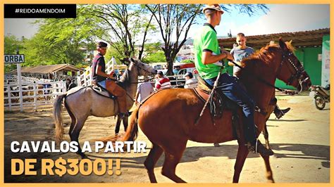 Bazar Do Cavalo - FEIRA DE CAVALO EM BEZERROS!! ACHAMOS UM POTRO DE 300 REAIS!! 23/07 ...