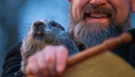 The History and Traditions of Groundhog Day | Explore History, iNostalgia