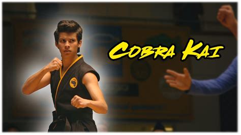 All Miguel Diaz Fight Scenes Cobra Kai Youtube