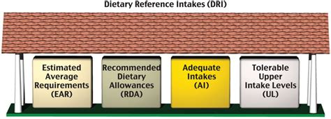 26 Understanding Dietary Reference Intakes Medicine Libretexts