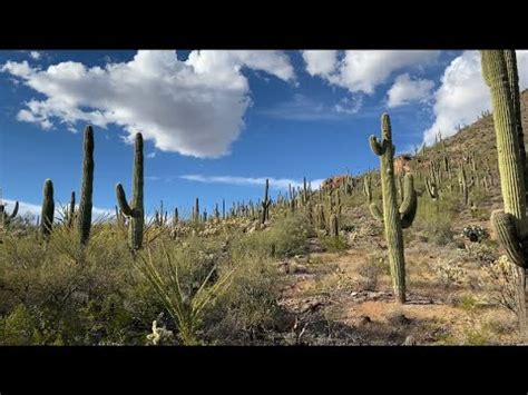 Explorando las motañas De Arizona YouTube