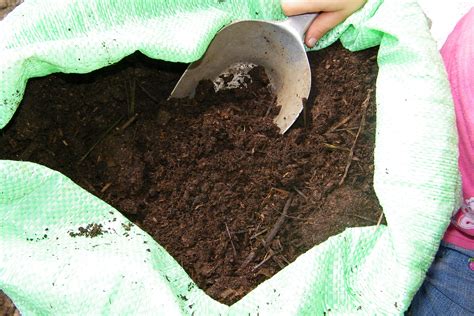 Principales Caracter Sticas Del Abono Org Nico Bocashi Hydroenvironment