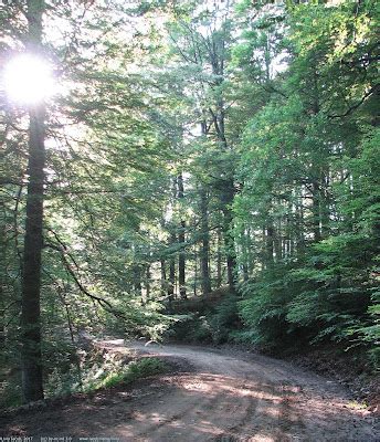 Traseu In Muntii Baiului Sinaia Valea Rea Valcelul Cu Cornisa Pe