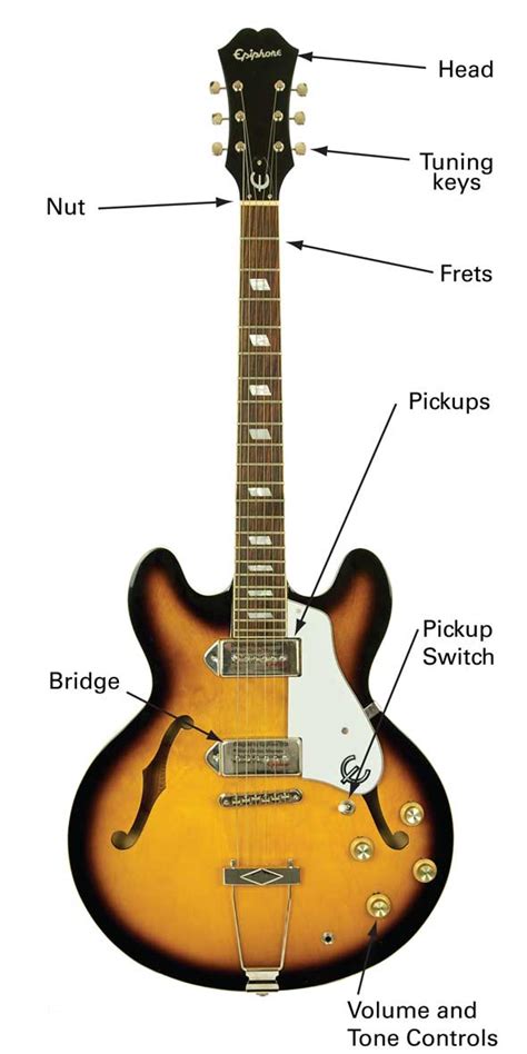 Electric Guitar: Types Of Electric Guitar