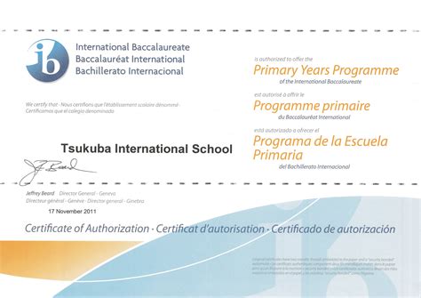 Ib Certificate Vs Diploma