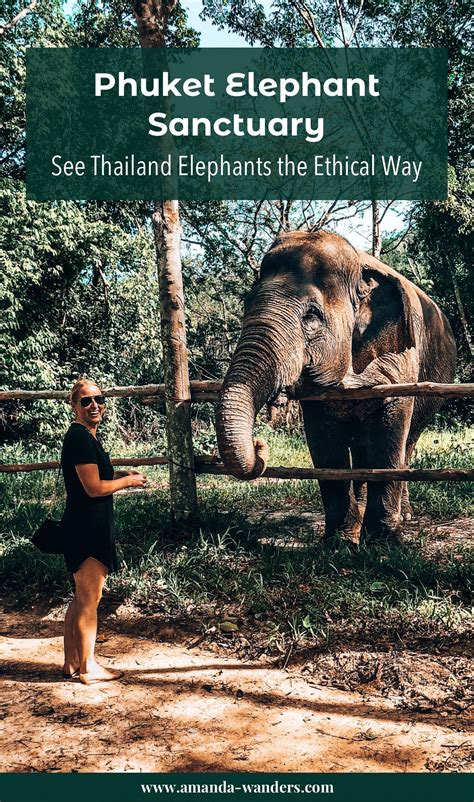 Ethical Elephant Sanctuary In Phuket Artofit