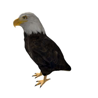 Águila en el hombro Roblox