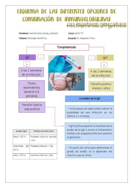 Inmunoglobulinas De Toxoplasmosis Citomegalovirus Wendy Puentes UDocz