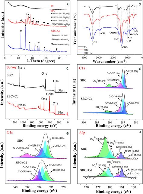 Xrd Patterns Of Bc Sbc And Sbc After Cd Adsorption Sbc Cd A And