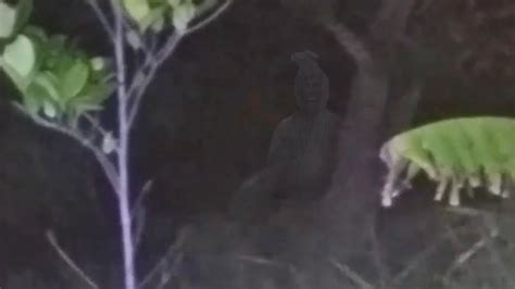 Wajah Pocong Rusak Parah Gaes Pocong Penunggu Pohon Mangga Youtube