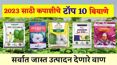 कपाशीचे टॉप 10 बियाणे 2023।kapuscotton Seeds 2023।कपाशीचे टॉप 10 वाण Youtube