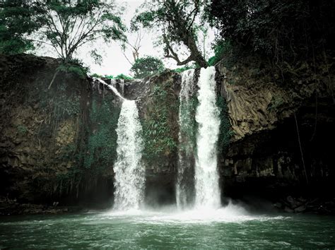 Photo of a Waterfall and Cliff with Trees · Free Stock Photo