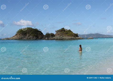 St. John, USVI Trunk Bay Underwater Snorkel Trail Editorial Image ...