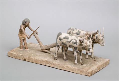 caring  cows  ancient egypt papyrus stories