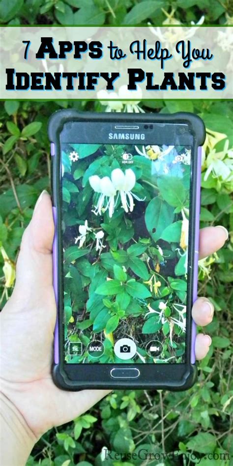 7 Apps to Help You Identify Plants - Reuse Grow Enjoy