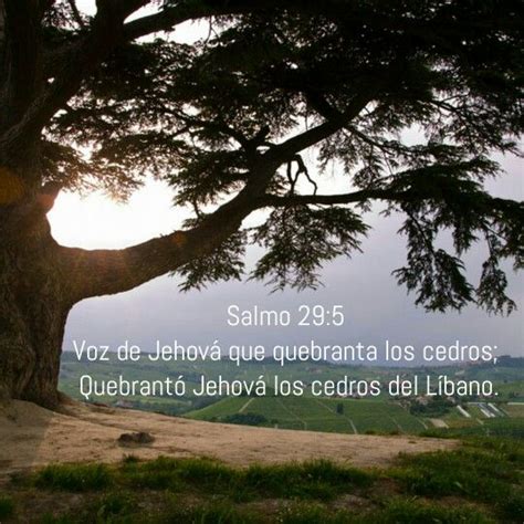 Salmo 29 5 Voz de Jehová que quebranta los cedros Quebrantó Jehová los