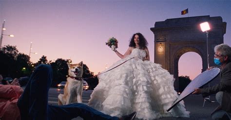 Bad Luck Banging Or Loony Porn Streaming Online