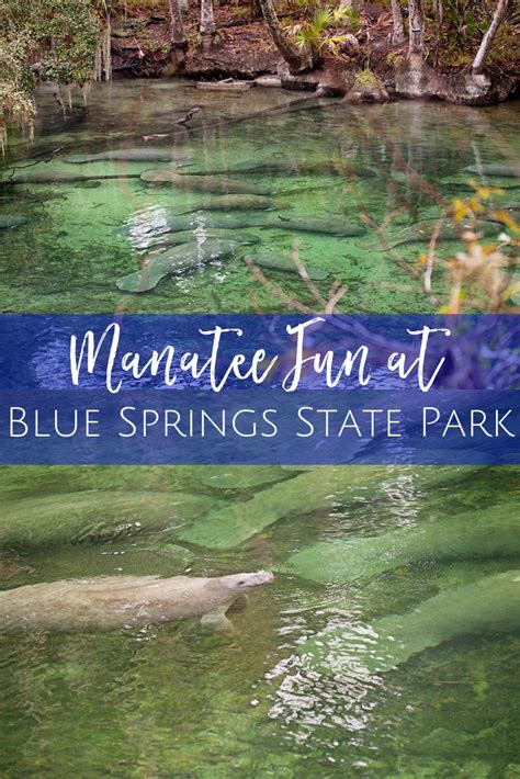 Blue springs state park – Artofit